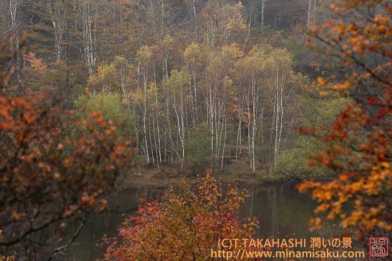 ../Images/7R251026 (235).jpg